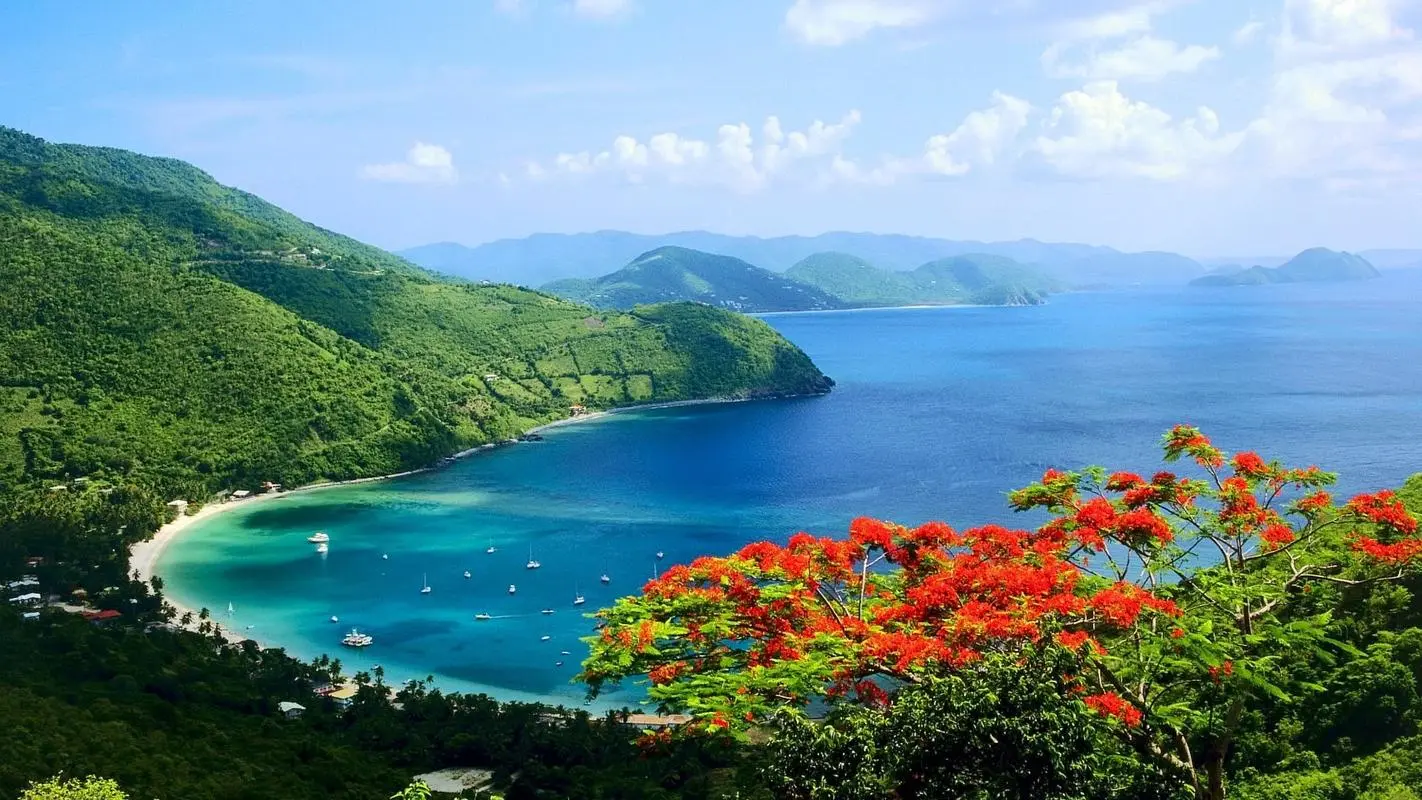 高性能高精度